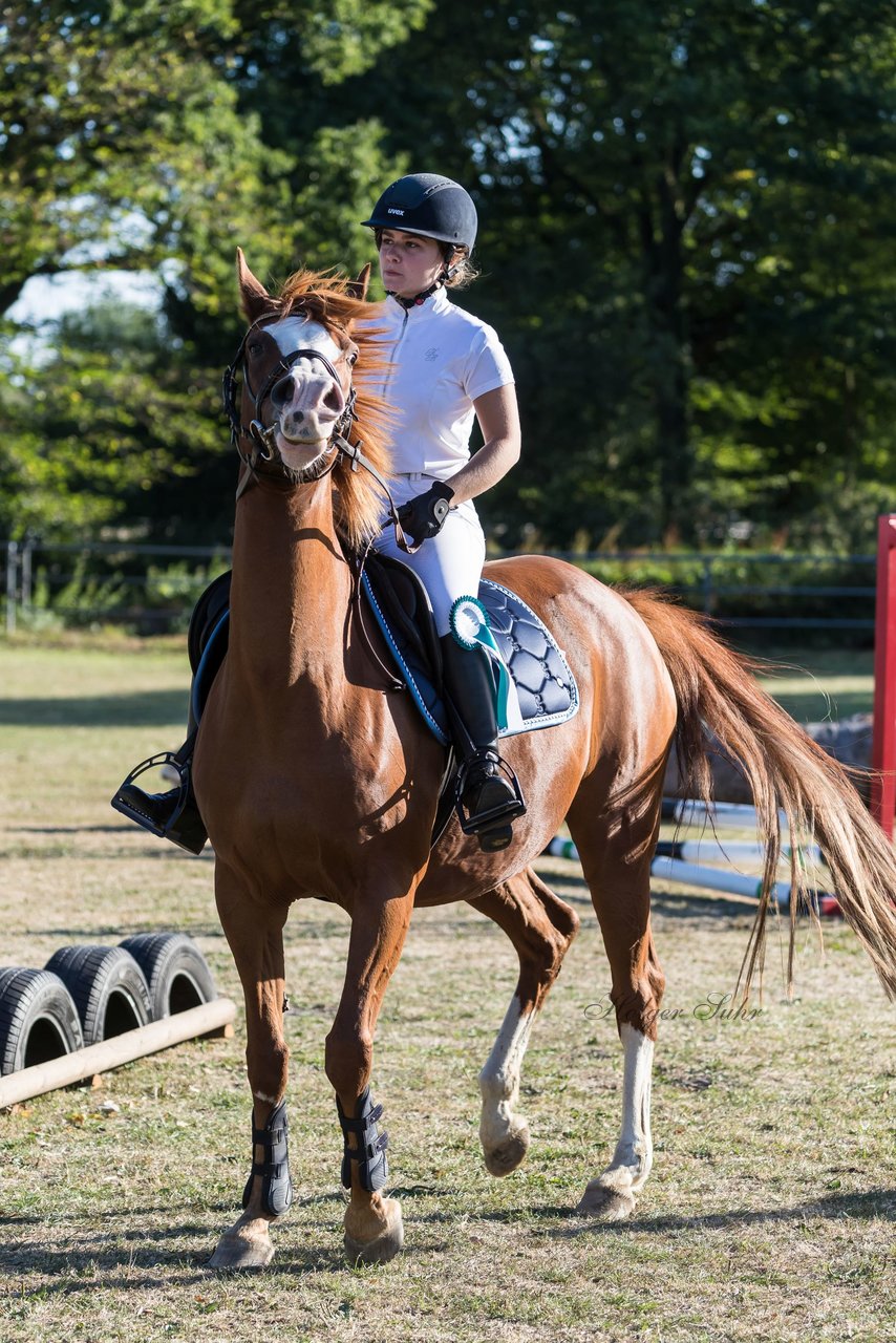 Bild 147 - Pony Akademie Turnier